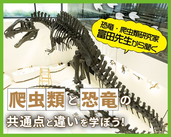 爬虫類と恐竜の共通点と違いを学ぼう／ＴＣＡ東京ＥＣＯ動物海洋専門学校