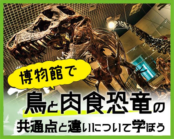 博物館で鳥と肉食恐竜の共通点と違いについて学ぼう／ＴＣＡ東京ＥＣＯ動物海洋専門学校