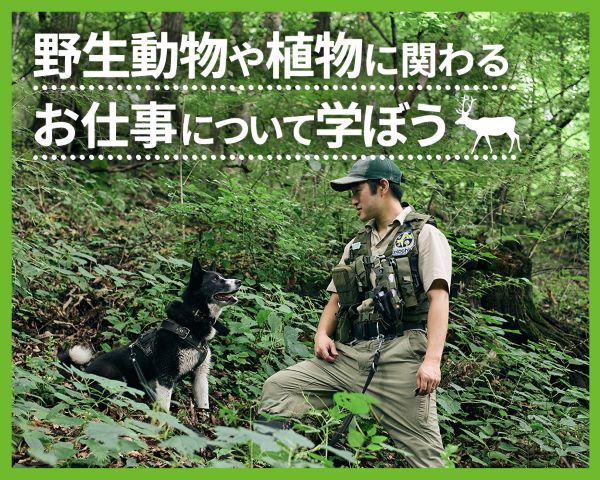 ＴＣＡ東京ＥＣＯ動物海洋専門学校