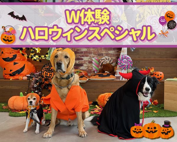 ＴＣＡ東京ＥＣＯ動物海洋専門学校