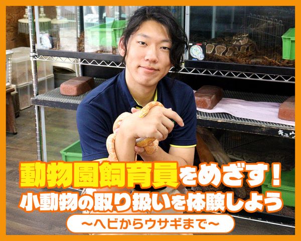 動物園飼育員をめざす！小動物の取り扱いを体験しよう～ヘビからウサギまで～／ＴＣＡ東京ＥＣＯ動物海洋専門学校