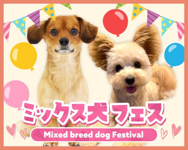 ミックス犬フェス／ＴＣＡ東京ＥＣＯ動物海洋専門学校