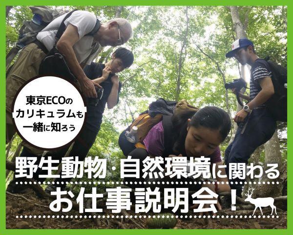 野生動物・自然環境に関わるお仕事説明会！～東京ECOのカリキュラムも一緒に知ろう～／ＴＣＡ東京ＥＣＯ動物海洋専門学校