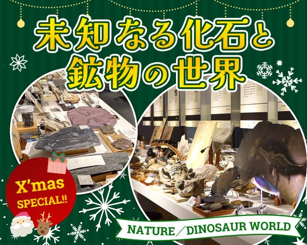 未知なる化石と鉱物の世界／ＴＣＡ東京ＥＣＯ動物海洋専門学校
