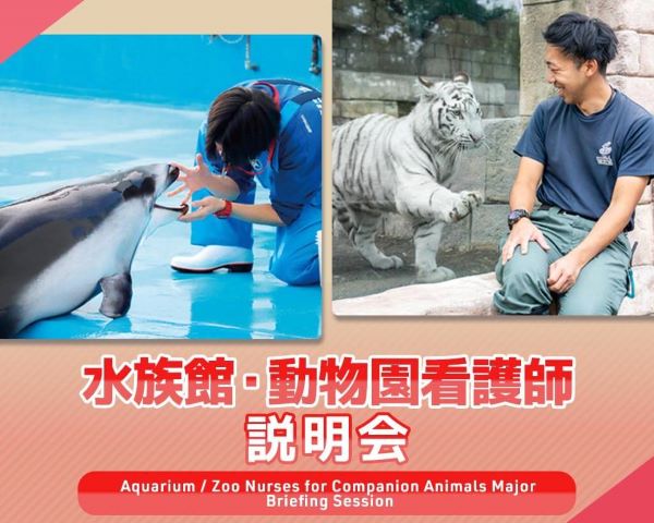 水族館・動物園看護師説明会／ＴＣＡ東京ＥＣＯ動物海洋専門学校