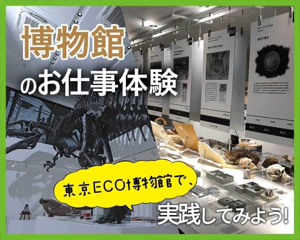 博物館のお仕事体験～東京ECOの博物館で実践してみよう～／ＴＣＡ東京ＥＣＯ動物海洋専門学校