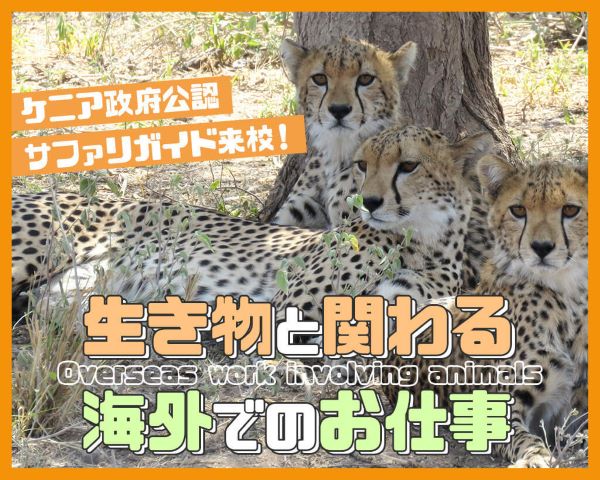 ケニア政府公認サファリガイド来校！生き物と関わる海外でのお仕事／ＴＣＡ東京ＥＣＯ動物海洋専門学校