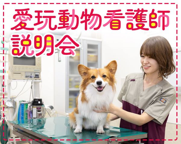 ＴＣＡ東京ＥＣＯ動物海洋専門学校