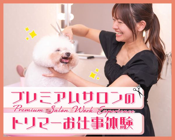 プレミアムサロンのトリマーお仕事体験／ＴＣＡ東京ＥＣＯ動物海洋専門学校