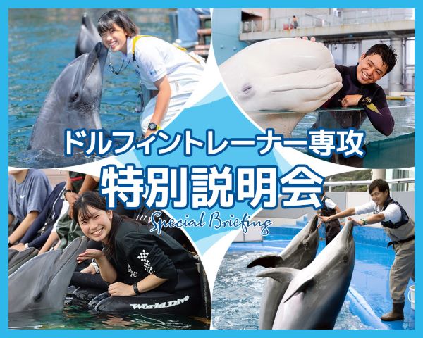 ドルフィントレーナー専攻 特別説明会／ＴＣＡ東京ＥＣＯ動物海洋専門学校