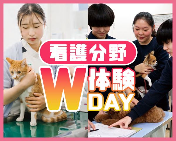 看護分野W体験DAY／ＴＣＡ東京ＥＣＯ動物海洋専門学校