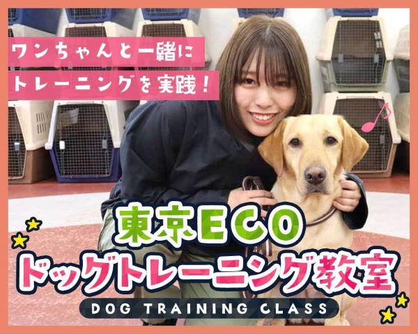 東京ECOドッグトレーナー専攻の学生による特別教室！ドッグトレーニング教室／ＴＣＡ東京ＥＣＯ動物海洋専門学校