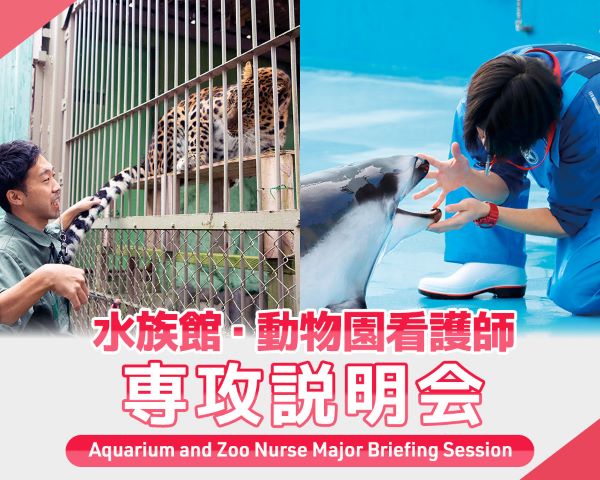 水族館・動物園看護師専攻説明会／ＴＣＡ東京ＥＣＯ動物海洋専門学校