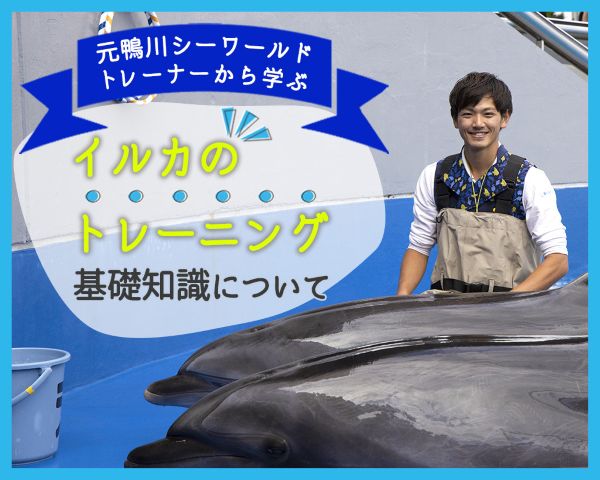 元鴨川シーワールドトレーナーから学ぶ～イルカのトレーニング基礎知識について～／ＴＣＡ東京ＥＣＯ動物海洋専門学校