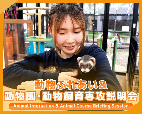動物ふれあい＆動物園・動物飼育専攻説明会／ＴＣＡ東京ＥＣＯ動物海洋専門学校