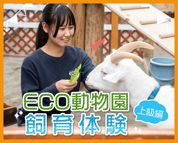 ECO動物園飼育体験【上級編】／ＴＣＡ東京ＥＣＯ動物海洋専門学校