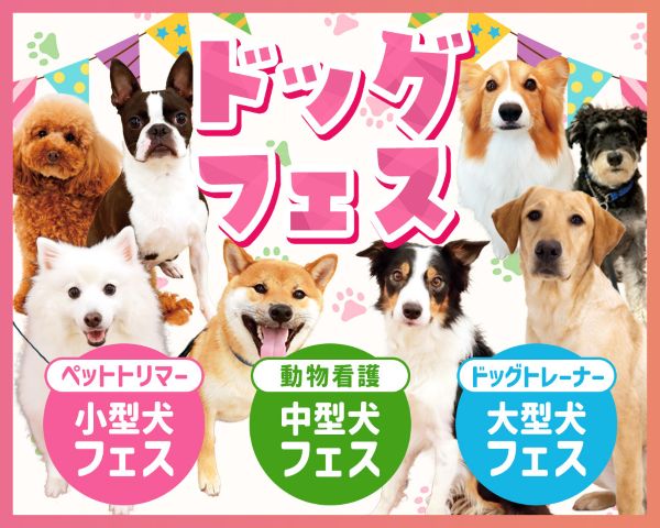 ドッグフェス／ＴＣＡ東京ＥＣＯ動物海洋専門学校