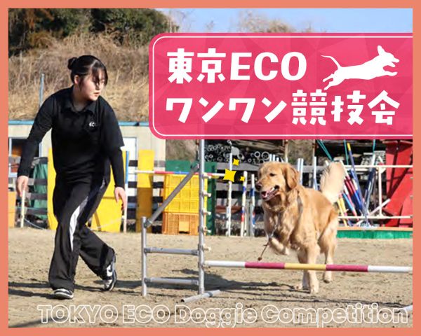東京ECOワンワン競技会／ＴＣＡ東京ＥＣＯ動物海洋専門学校