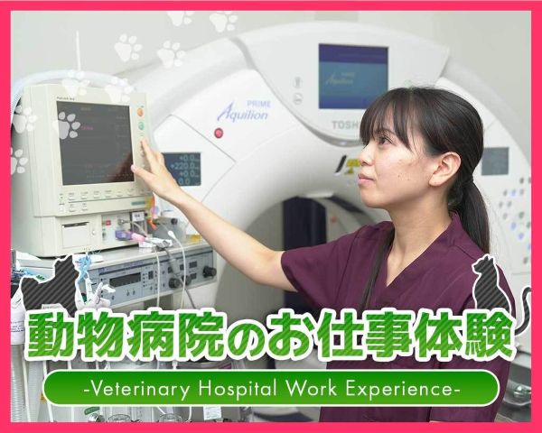 動物病院のお仕事体験／ＴＣＡ東京ＥＣＯ動物海洋専門学校