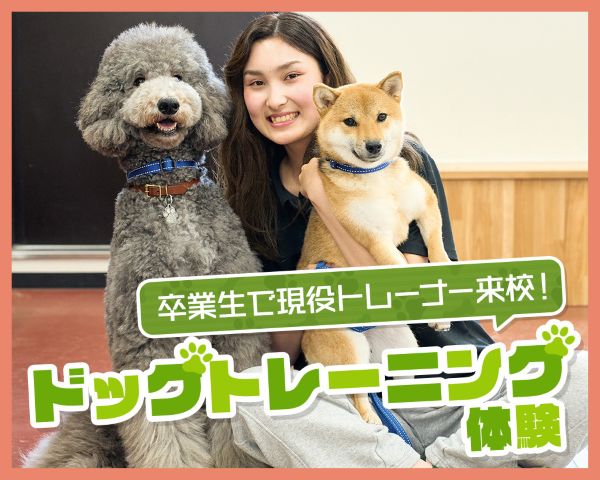 卒業生で現役トレーナー来校！ドッグトレーニング体験／ＴＣＡ東京ＥＣＯ動物海洋専門学校
