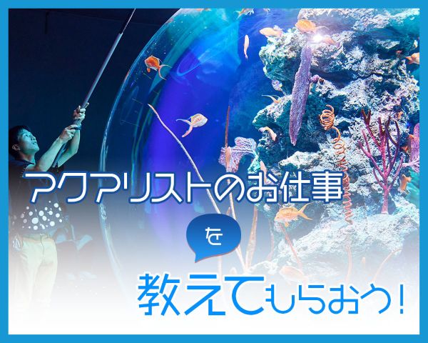 アクアリストのお仕事を教えてもらおう！／ＴＣＡ東京ＥＣＯ動物海洋専門学校