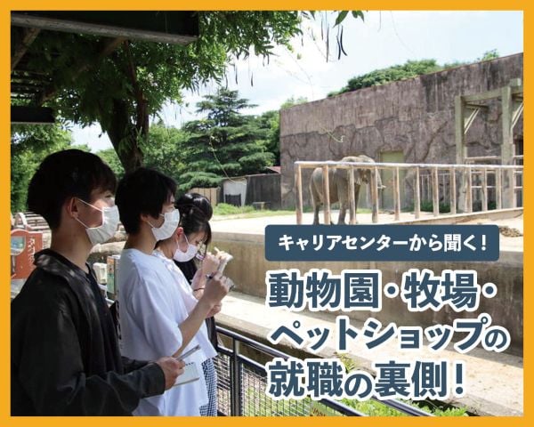 動物園・牧場・ペットショップの就職の裏側！／ＴＣＡ東京ＥＣＯ動物海洋専門学校