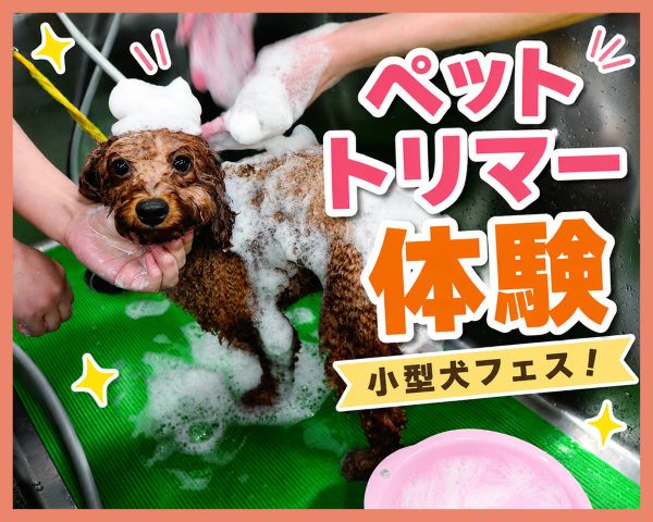 ペットトリマー体験／ＴＣＡ東京ＥＣＯ動物海洋専門学校