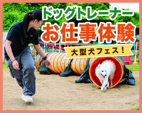 ドッグトレーナーお仕事体験／ＴＣＡ東京ＥＣＯ動物海洋専門学校