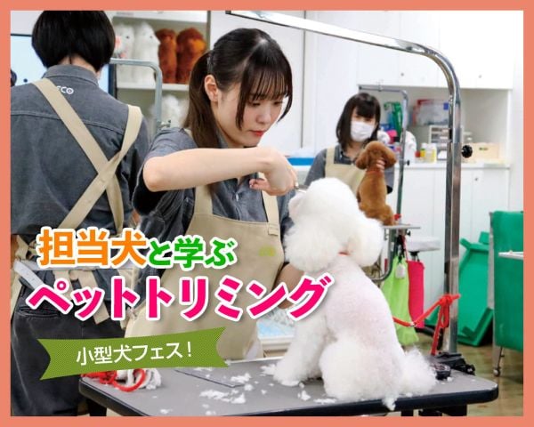 担当犬と学ぶペットトリミング／ＴＣＡ東京ＥＣＯ動物海洋専門学校