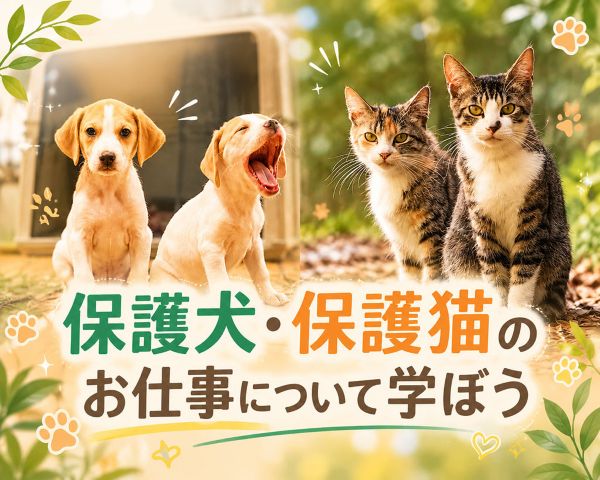 保護犬・保護猫のお仕事について学ぼう／ＴＣＡ東京ＥＣＯ動物海洋専門学校