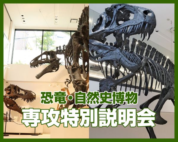恐竜・自然史博物専攻 特別説明会／ＴＣＡ東京ＥＣＯ動物海洋専門学校