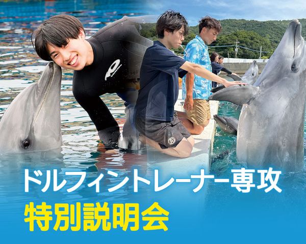 ドルフィントレーナー専攻 特別説明会／ＴＣＡ東京ＥＣＯ動物海洋専門学校