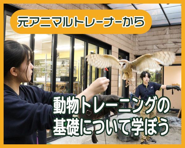 動物トレーニングの基礎について学ぼう／ＴＣＡ東京ＥＣＯ動物海洋専門学校