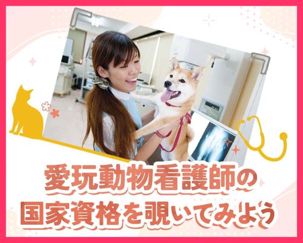愛玩動物看護師の国家試験をのぞいてみよう！／ＴＣＡ東京ＥＣＯ動物海洋専門学校