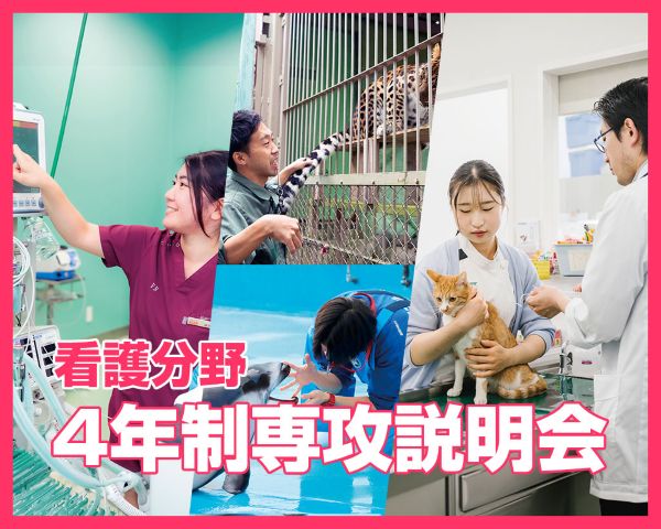 看護分野 4年制専攻説明会／ＴＣＡ東京ＥＣＯ動物海洋専門学校