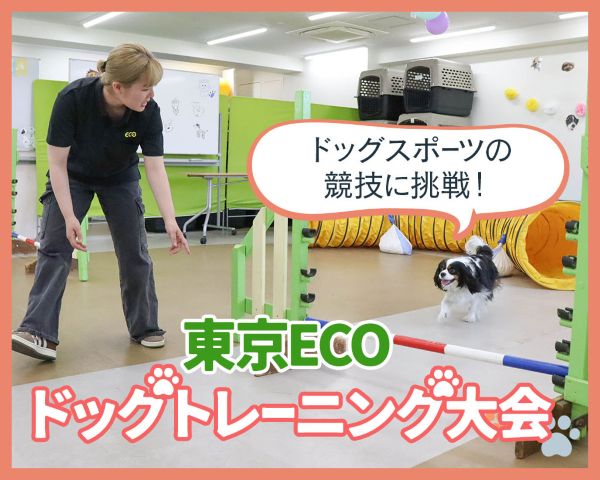 ドッグスポーツの競技に挑戦！東京ECOドッグトレーニング大会／ＴＣＡ東京ＥＣＯ動物海洋専門学校