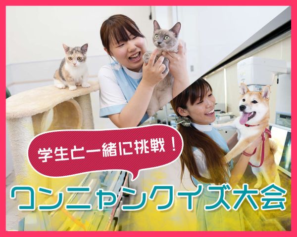 学生と一緒に挑戦！ワンニャンクイズ大会／ＴＣＡ東京ＥＣＯ動物海洋専門学校