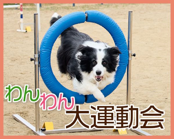 ＴＣＡ東京ＥＣＯ動物海洋専門学校