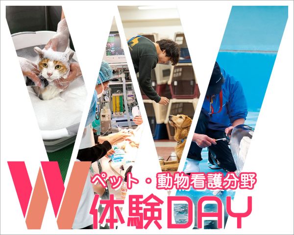 ペット・動物看護分野W体験DAY！／ＴＣＡ東京ＥＣＯ動物海洋専門学校