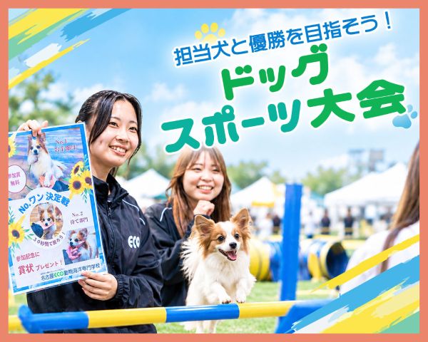 担当犬と優勝を目指そう！ドッグスポーツ大会／ＴＣＡ東京ＥＣＯ動物海洋専門学校