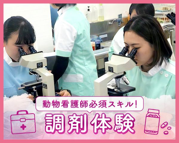 動物病院の調剤体験／ＴＣＡ東京ＥＣＯ動物海洋専門学校