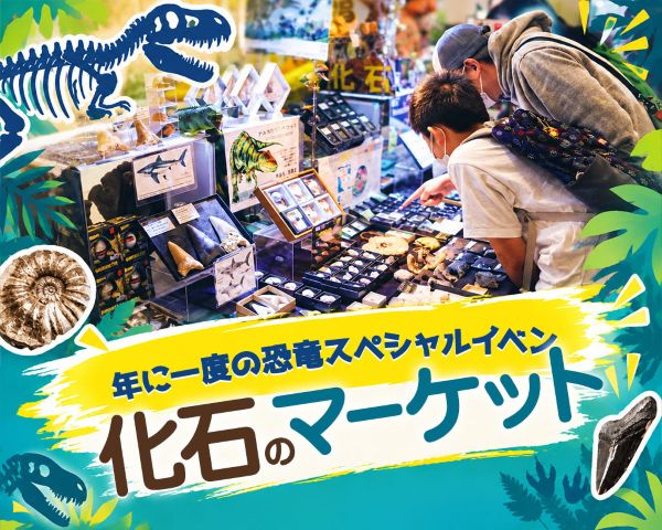 年に一度の恐竜スペシャルイベント！化石のマーケット／ＴＣＡ東京ＥＣＯ動物海洋専門学校