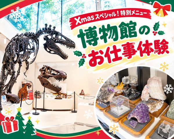 博物館のお仕事体験／ＴＣＡ東京ＥＣＯ動物海洋専門学校