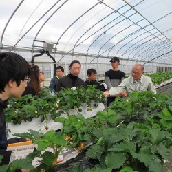 奈良県立なら食と農の魅力創造国際大学校