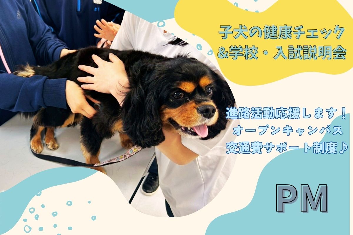 横浜動物専門学校