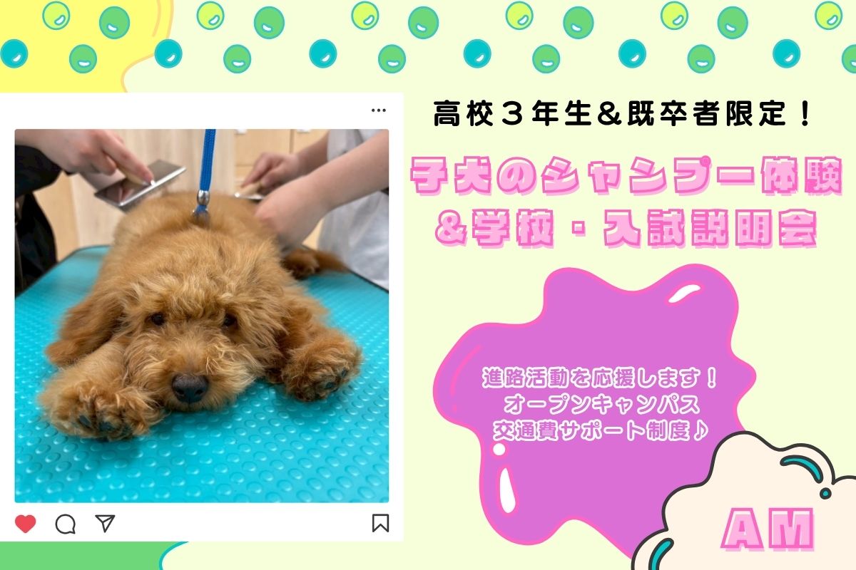 横浜動物専門学校