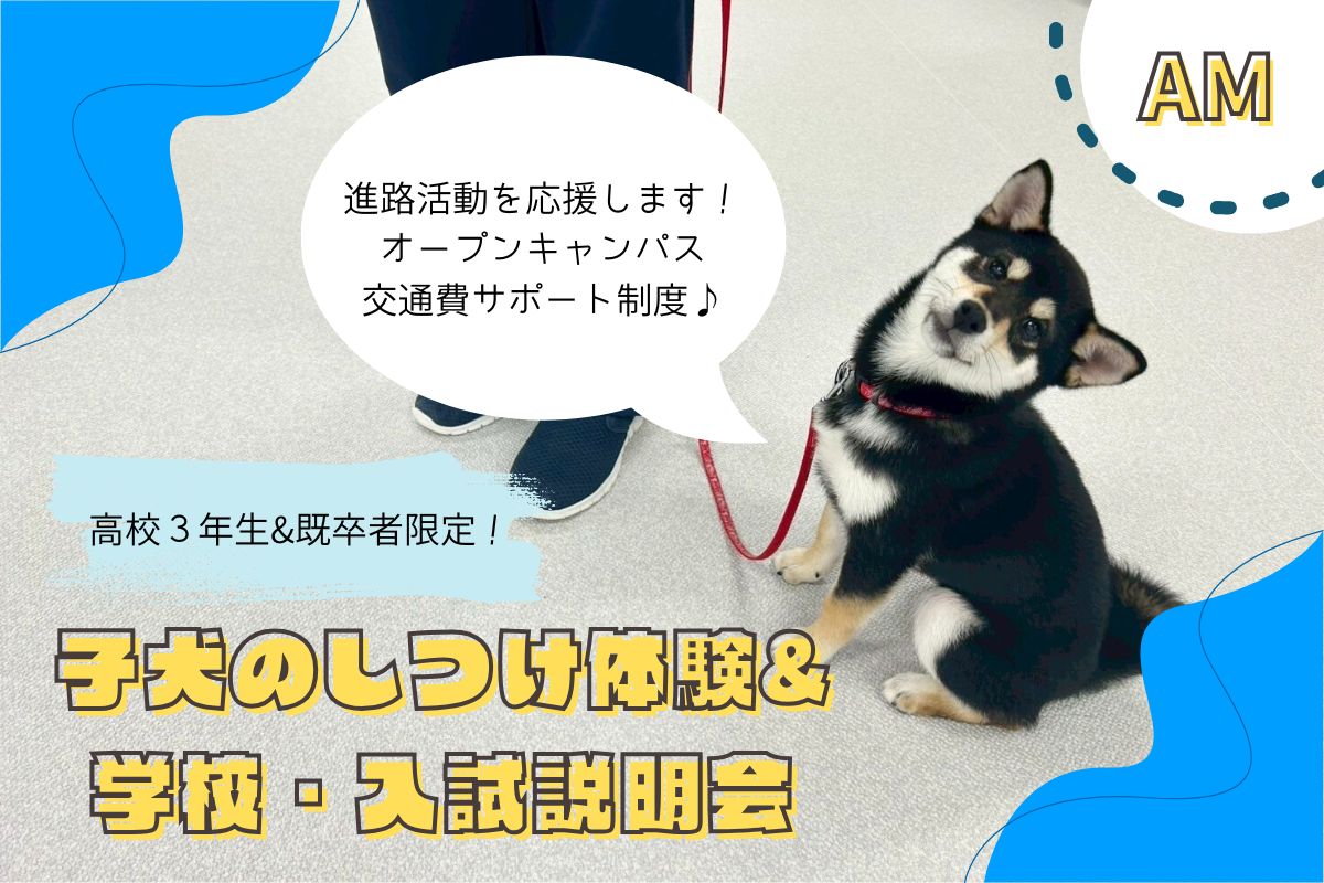 横浜動物専門学校