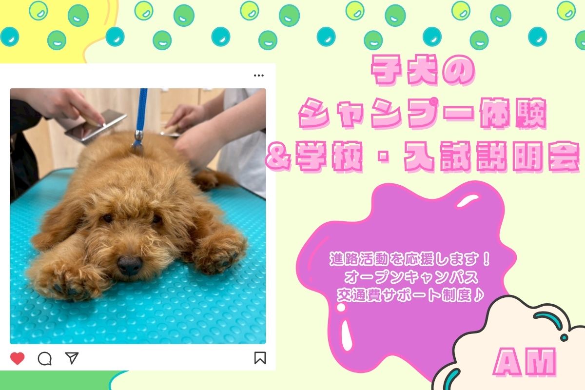 横浜動物専門学校