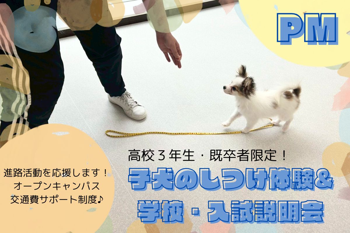 横浜動物専門学校