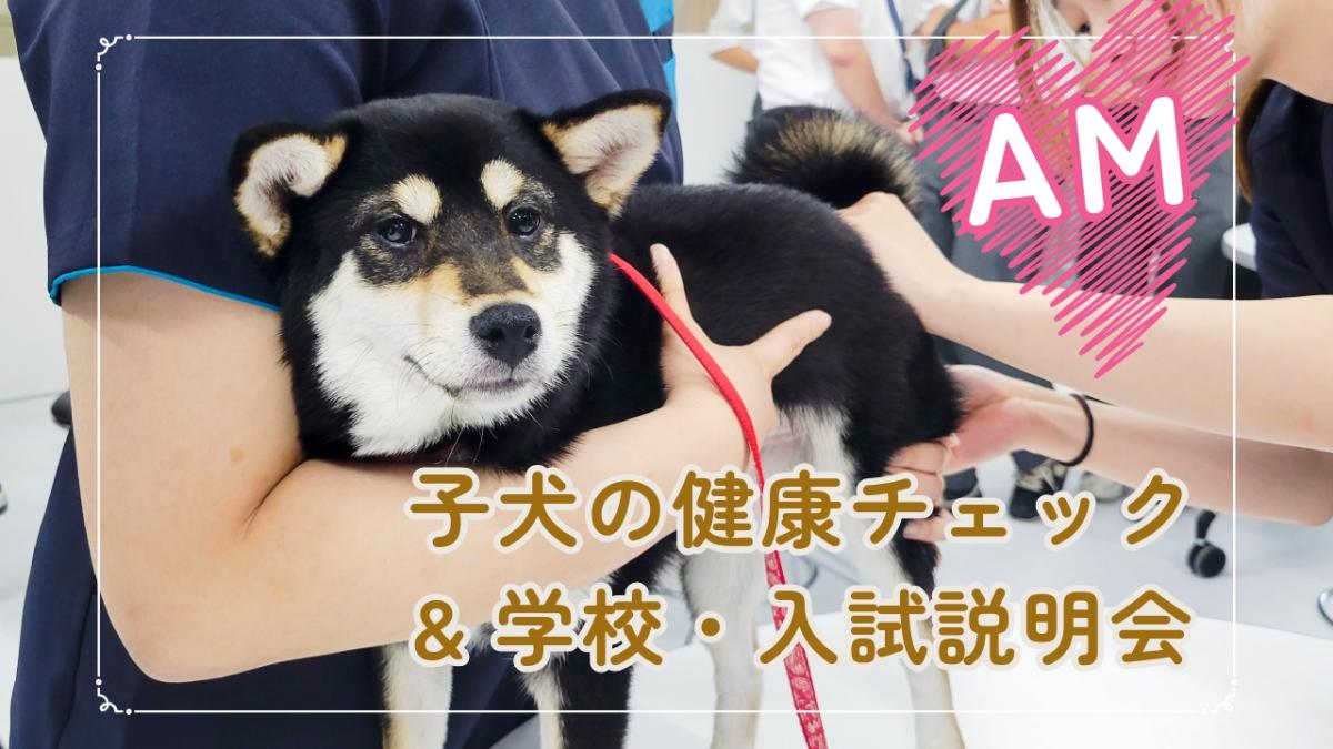 横浜動物専門学校